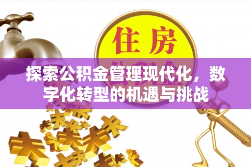 沁源探索公积金管理现代化，数字化转型的机遇与挑战