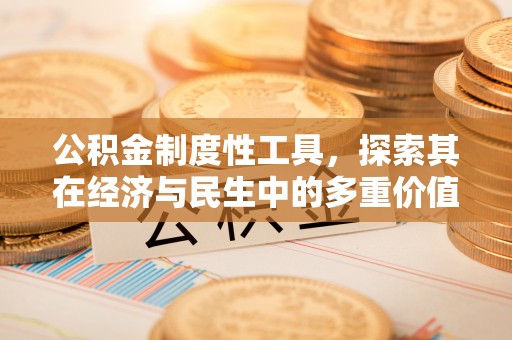 沁源公积金制度性工具，探索其在经济与民生中的多重价值