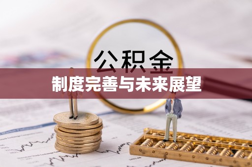 沁源制度完善与未来展望