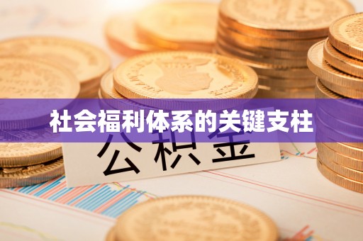 沁源社会福利体系的关键支柱