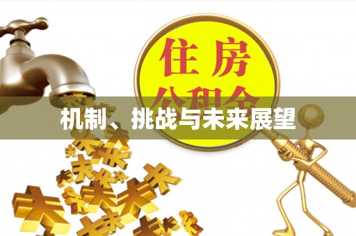 沁源机制、挑战与未来展望
